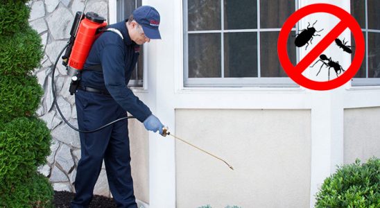 Bursa Karınca İlaçlama böcek ilaçlama ve haşere kontrolü — ilaclama-tr.com